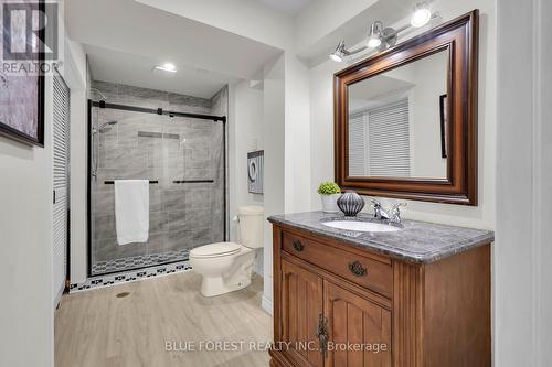 6628 Beattie Street, London, ON - Indoor Photo Showing Bathroom