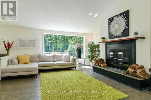 387192 20 Side Road, Mono, ON - Indoor Photo Showing Living Room With Fireplace