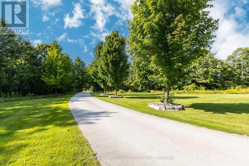 150 Wrenhaven Road, Kawartha Lakes, ON - Outdoor With View