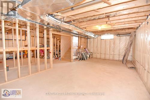 1042 Chateau Avenue, Windsor, ON - Indoor Photo Showing Basement