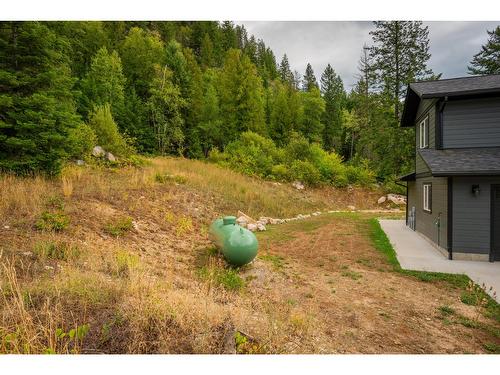 1955 Sandy Road, Castlegar, BC - Outdoor