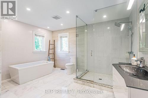 41 Tremont Crescent, Toronto (Banbury-Don Mills), ON - Indoor Photo Showing Bathroom