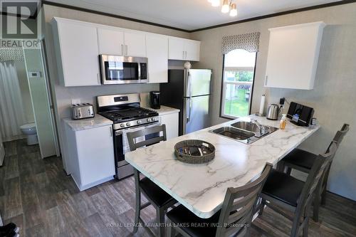 Lot #74 - 46 Alpine Street, Kawartha Lakes (Lindsay), ON - Indoor Photo Showing Kitchen With Double Sink