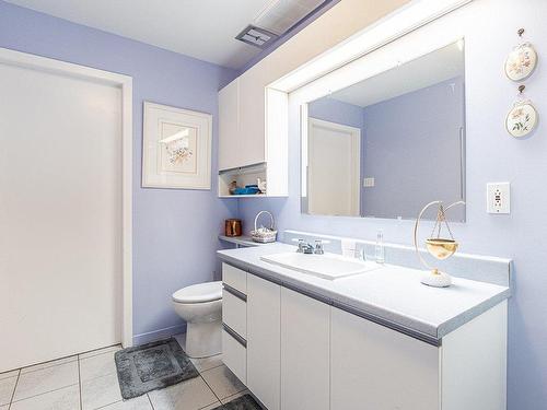 Salle de bains - 450 Rue Montmagny, Sherbrooke (Les Nations), QC - Indoor Photo Showing Bathroom