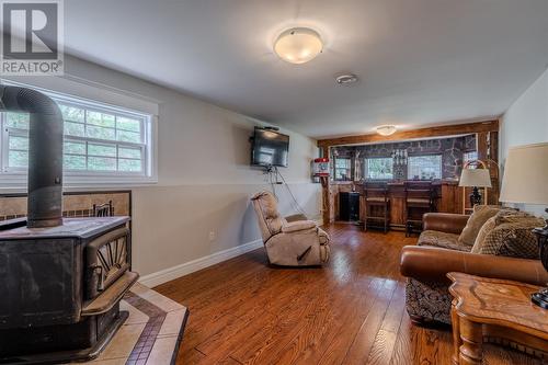 14 Invermore Place, Cbs, NL - Indoor Photo Showing Living Room