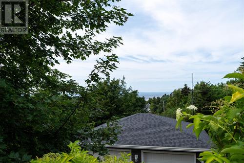 14 Invermore Place, Cbs, NL - Outdoor