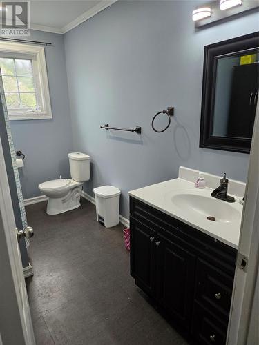 17 Lupine Road, Burin, NL - Indoor Photo Showing Bathroom