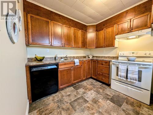 914 Main Street, Frenchmans Cove, NL - Indoor Photo Showing Kitchen With Double Sink