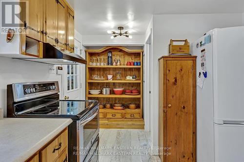 5620 County Road 46 Road N, Havelock-Belmont-Methuen (Havelock), ON - Indoor Photo Showing Kitchen