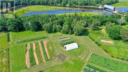 - Starkey Road, Codys, NB 