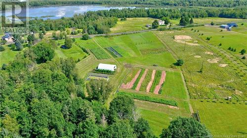 - Starkey Road, Codys, NB 