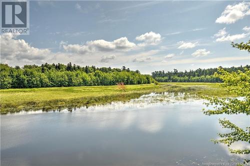 - Starkey Road, Codys, NB 