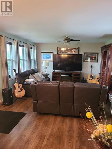 56 Main Road, Pinchgut Lake, NL - Indoor Photo Showing Living Room