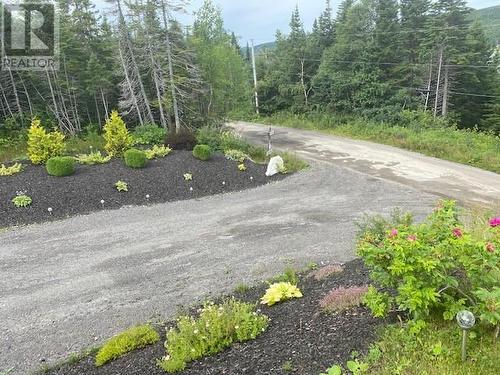 56 Main Road, Pinchgut Lake, NL - Outdoor