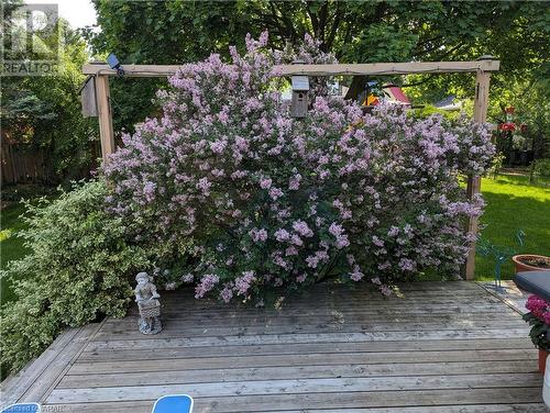 57 Inverness Drive, Cambridge, ON - Outdoor With Deck Patio Veranda