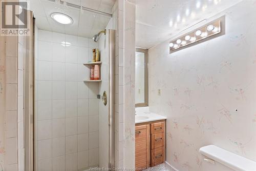 490 Dormar, Windsor, ON - Indoor Photo Showing Bathroom