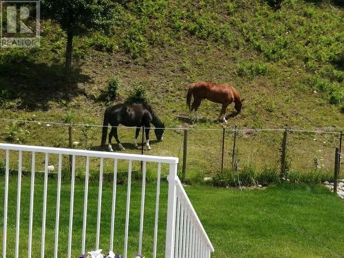 948 Bridgeview Road, Castlegar, BC - Outdoor With View