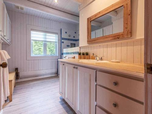 Salle de bains - 18 Ch. Du Héron, Sainte-Christine-D'Auvergne, QC - Indoor Photo Showing Bathroom