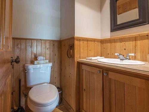 Salle d'eau - 18 Ch. Du Héron, Sainte-Christine-D'Auvergne, QC - Indoor Photo Showing Bathroom