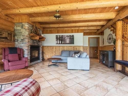 Salon - 18 Ch. Du Héron, Sainte-Christine-D'Auvergne, QC - Indoor Photo Showing Living Room With Fireplace