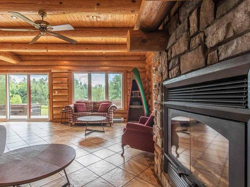 Salon - 18 Ch. Du Héron, Sainte-Christine-D'Auvergne, QC - Indoor Photo Showing Living Room With Fireplace