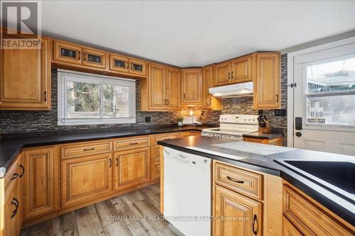 46 Main Street S, Halton Hills, ON - Indoor Photo Showing Kitchen