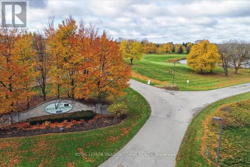 46 Main Street S, Halton Hills (Acton), ON - Outdoor With View