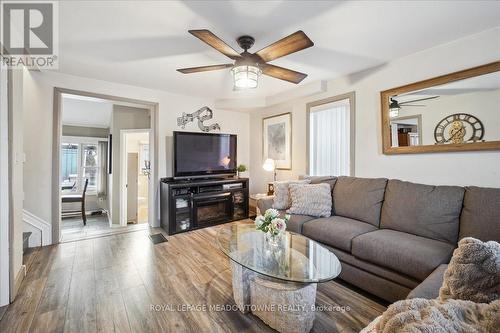 46 Main Street S, Halton Hills, ON - Indoor Photo Showing Living Room