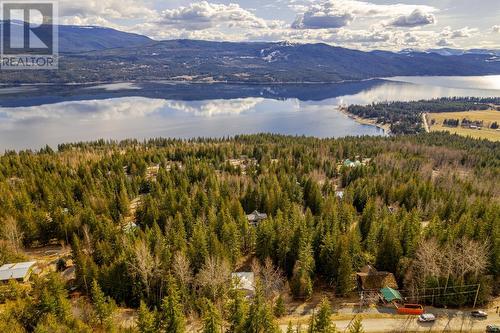 7430 Crowfoot Drive, Anglemont, BC - Outdoor With View