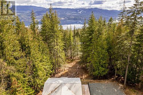 7430 Crowfoot Drive, Anglemont, BC - Outdoor With View