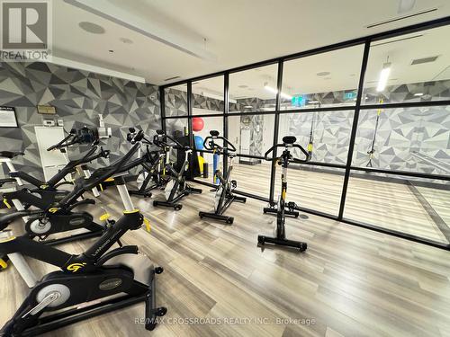 336 - 15 Merchants Wharf, Toronto (Waterfront Communities), ON - Indoor Photo Showing Gym Room