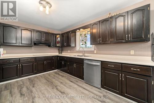 243 Cross Road, Tyendinaga, ON - Indoor Photo Showing Kitchen With Double Sink