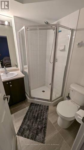 80 - 250 Sunny Meadow Boulevard, Brampton (Sandringham-Wellington), ON - Indoor Photo Showing Bathroom