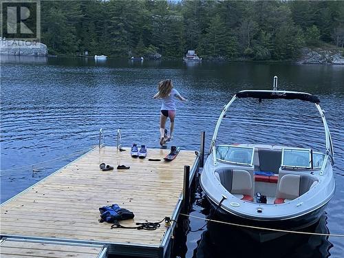 Oh yes, let's dive off the dock! - 1325 Nordic Road, Arden, ON - Outdoor With Body Of Water