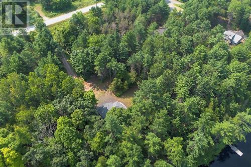 2.85 acres of privacy. - 1325 Nordic Road, Arden, ON - Outdoor With View