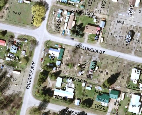 Dl 99, Lot 15, 16, 17 Columbia Street, Coalmont-Tulameen, BC - Other