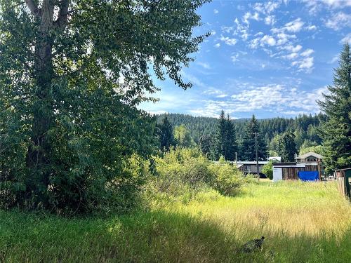 Dl 99, Lot 15, 16, 17 Columbia Street, Coalmont-Tulameen, BC - Outdoor With View