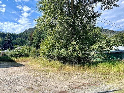 Dl 99, Lot 15, 16, 17 Columbia Street, Coalmont-Tulameen, BC - Outdoor With View