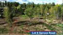 Lot 8 Spruce Road, Tobin Lake, SK 