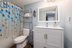 Bathroom featuring toilet, a shower with shower curtain, hardwood / wood-style flooring, and vanity - 