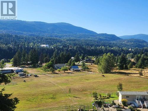 Lot A Bridgeview Road, Ootischenia, BC 