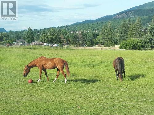 Lot A Bridgeview Road, Ootischenia, BC 