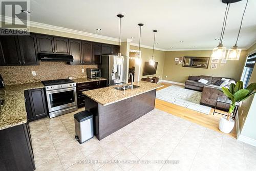 141 Willet Terrace, Milton (Harrison), ON - Indoor Photo Showing Kitchen With Stainless Steel Kitchen With Double Sink With Upgraded Kitchen