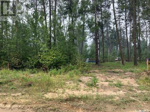 Lot 1 Spruce Road, Tobin Lake, SK 