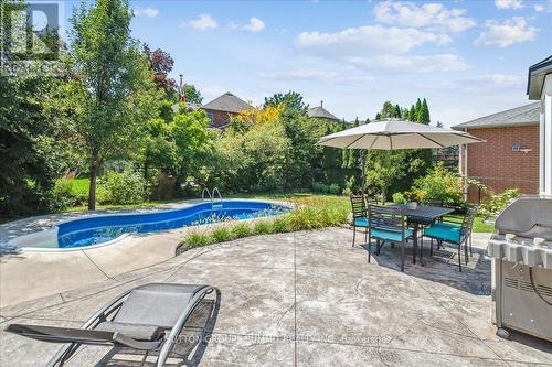 17 Winegarden Trail, Hamilton (Dundas), ON - Outdoor With In Ground Pool With Deck Patio Veranda With Backyard