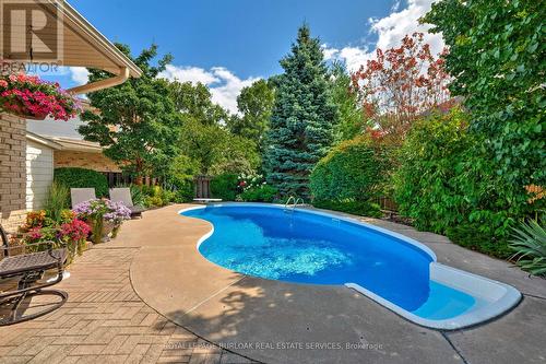 306 Oakwood Court, Burlington (Roseland), ON - Outdoor With In Ground Pool With Backyard