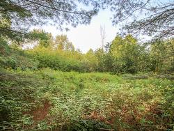 Land/Lot - 