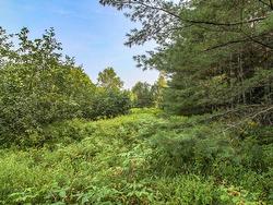 Land/Lot - 