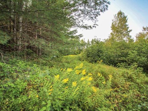 Land/Lot - Route De L'Église, Saint-Georges-De-Windsor, QC 