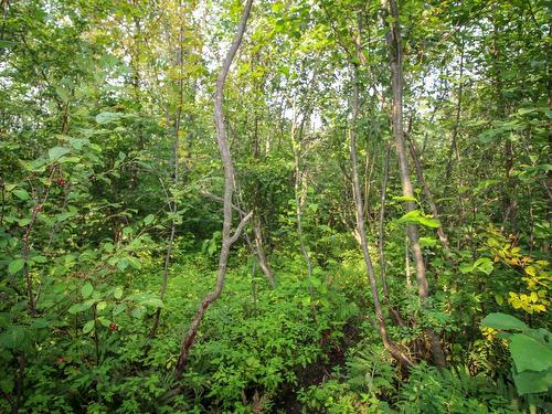 Terre/Terrain - Route De L'Église, Saint-Georges-De-Windsor, QC 